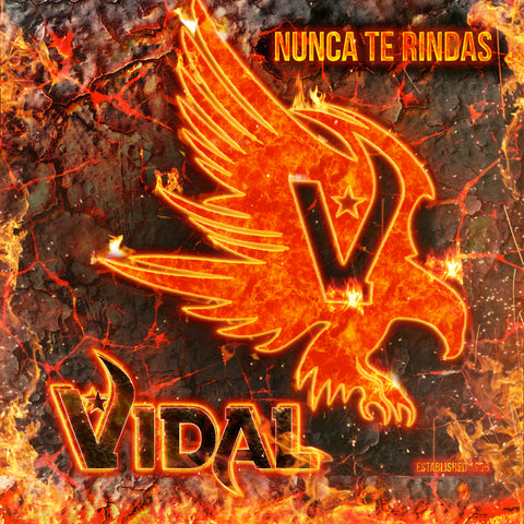 Vidal - Nunca Te Rindas